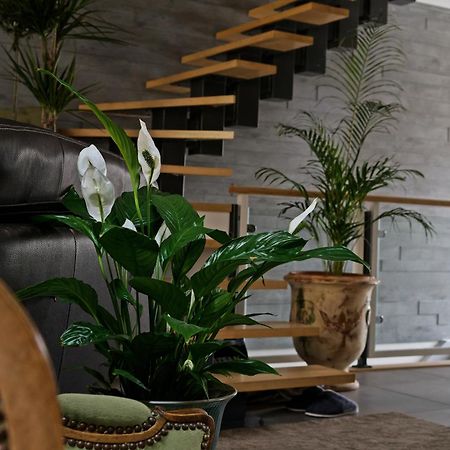 Superbe Appartement Au Coeur Du Jura Champagnole Exteriör bild